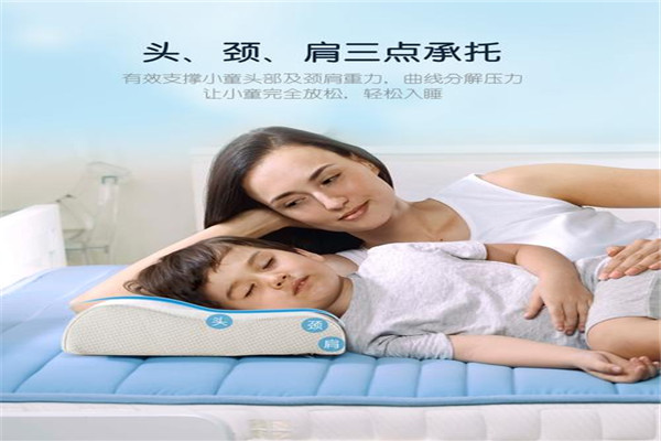 赛诺颈椎枕
